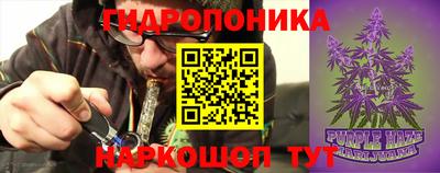 Альфа ПВП Владимир
