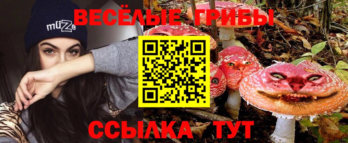 Аша  Галлюциногенные грибы Psilocybine cubensis  Вход с VPN 